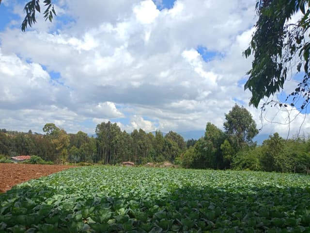 Mixed Use Land For Sale Karangatha, South Kinangop_5