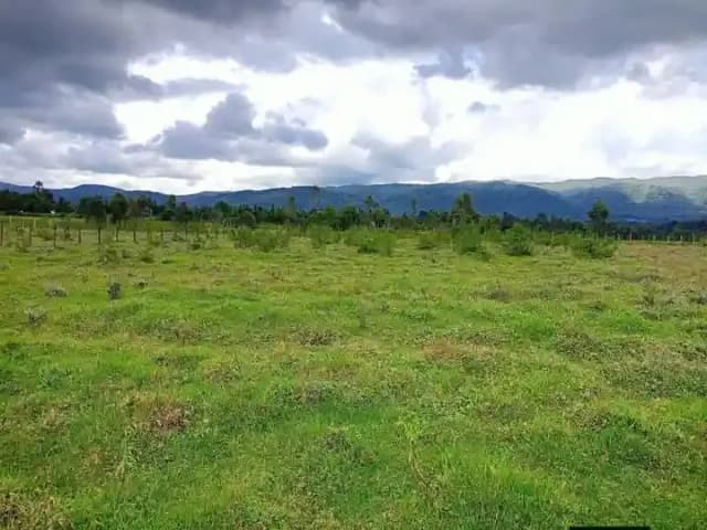 Agricultural Land For Sale Ndunyu Njeru area, Nyandarua._1