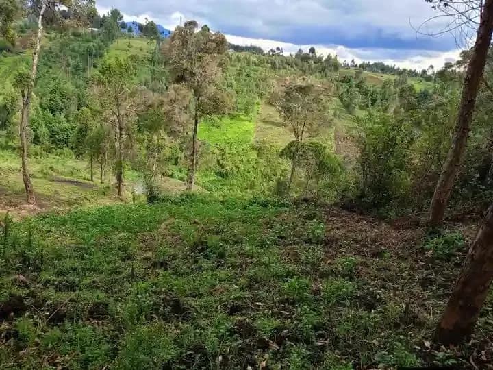 Agricultural Land For Sale Ndunyu Njeru area, Nyandarua._2