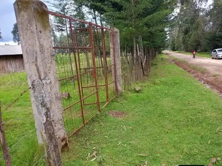 Agricultural Land For Sale Ndunyu Njeru area, Nyandarua._3