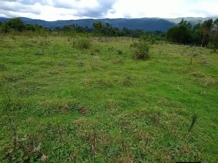 Agricultural Land For Sale Ndunyu Njeru area, Nyandarua._5