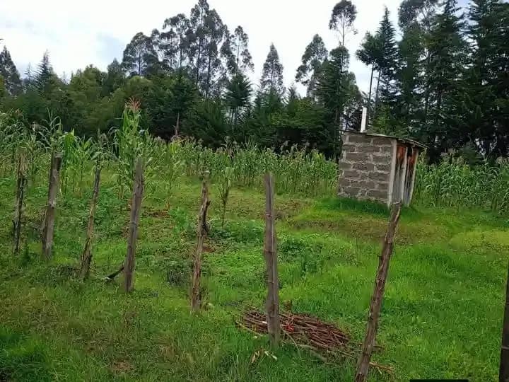 Agricultural Land For Sale Ndunyu Njeru area, Nyandarua._6