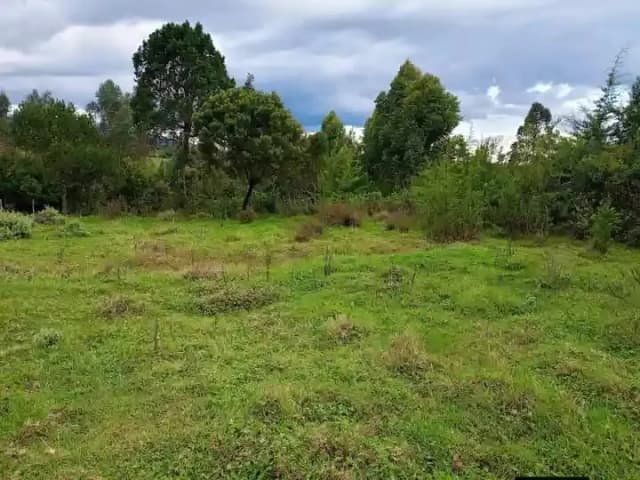 Agricultural Land For Sale Ndunyu Njeru area, Nyandarua._7