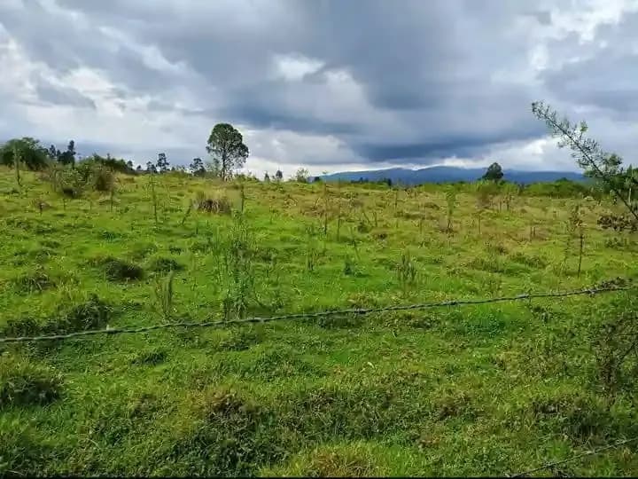 Agricultural Land For Sale Ndunyu Njeru area, Nyandarua._8
