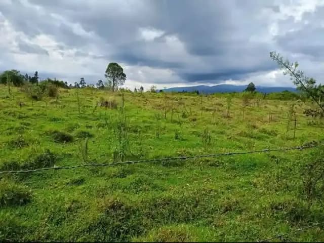 Agricultural Land For Sale Ndunyu Njeru area, Nyandarua._8