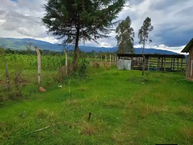 Agricultural Land For Sale Ndunyu Njeru area, Nyandarua._10