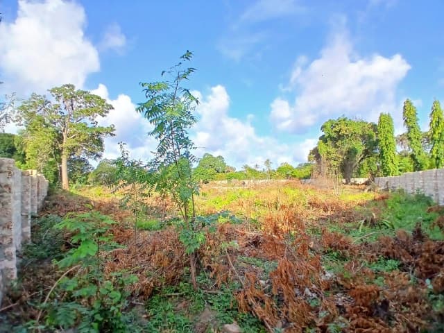 Plot For Sale in Mtwapa_7
