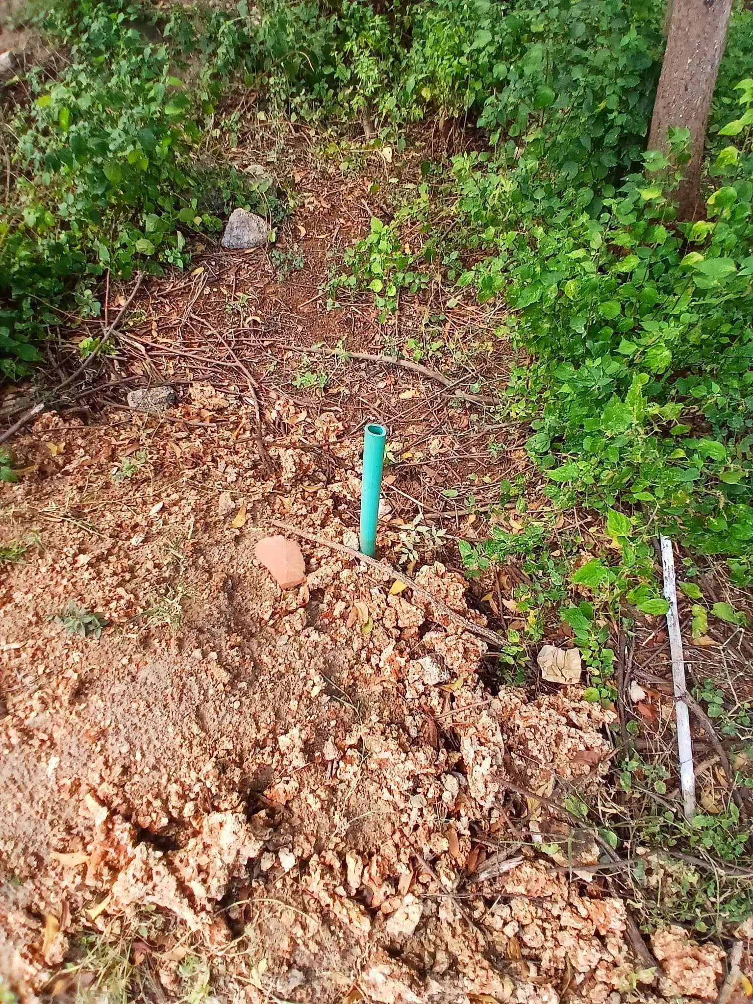 Mixed Use Land For Sale in SHANZU, SHANZU_1