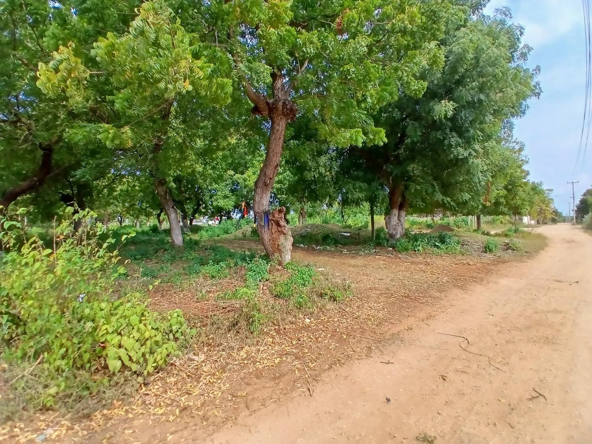 Mixed Use Land For Sale in SHANZU, SHANZU_2