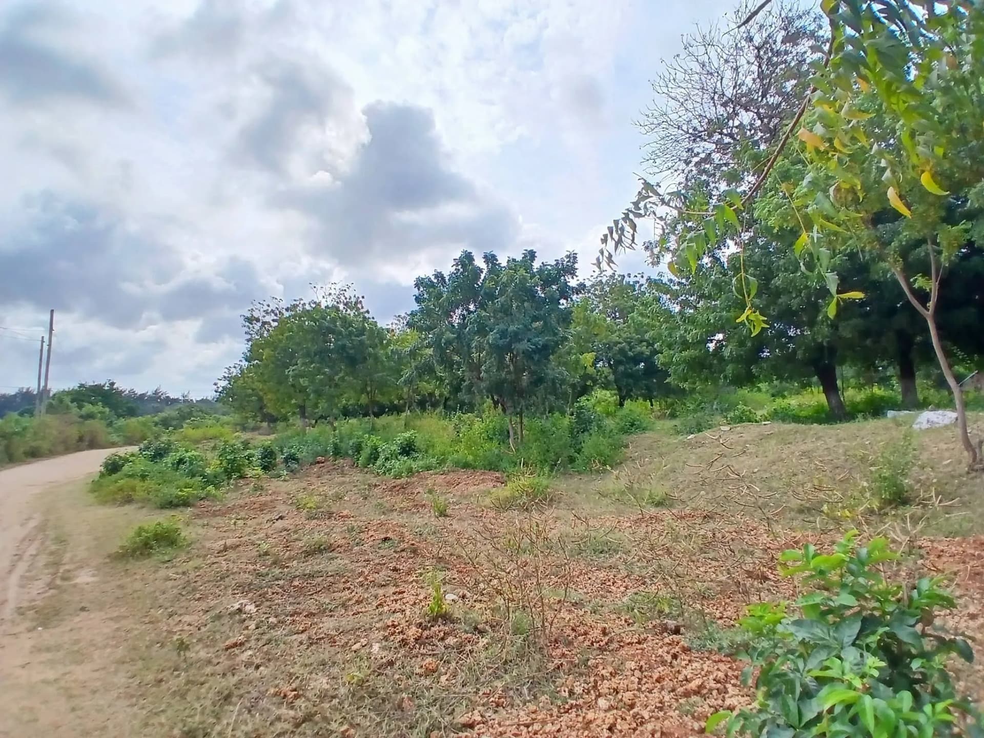Mixed Use Land For Sale in SHANZU, SHANZU_5