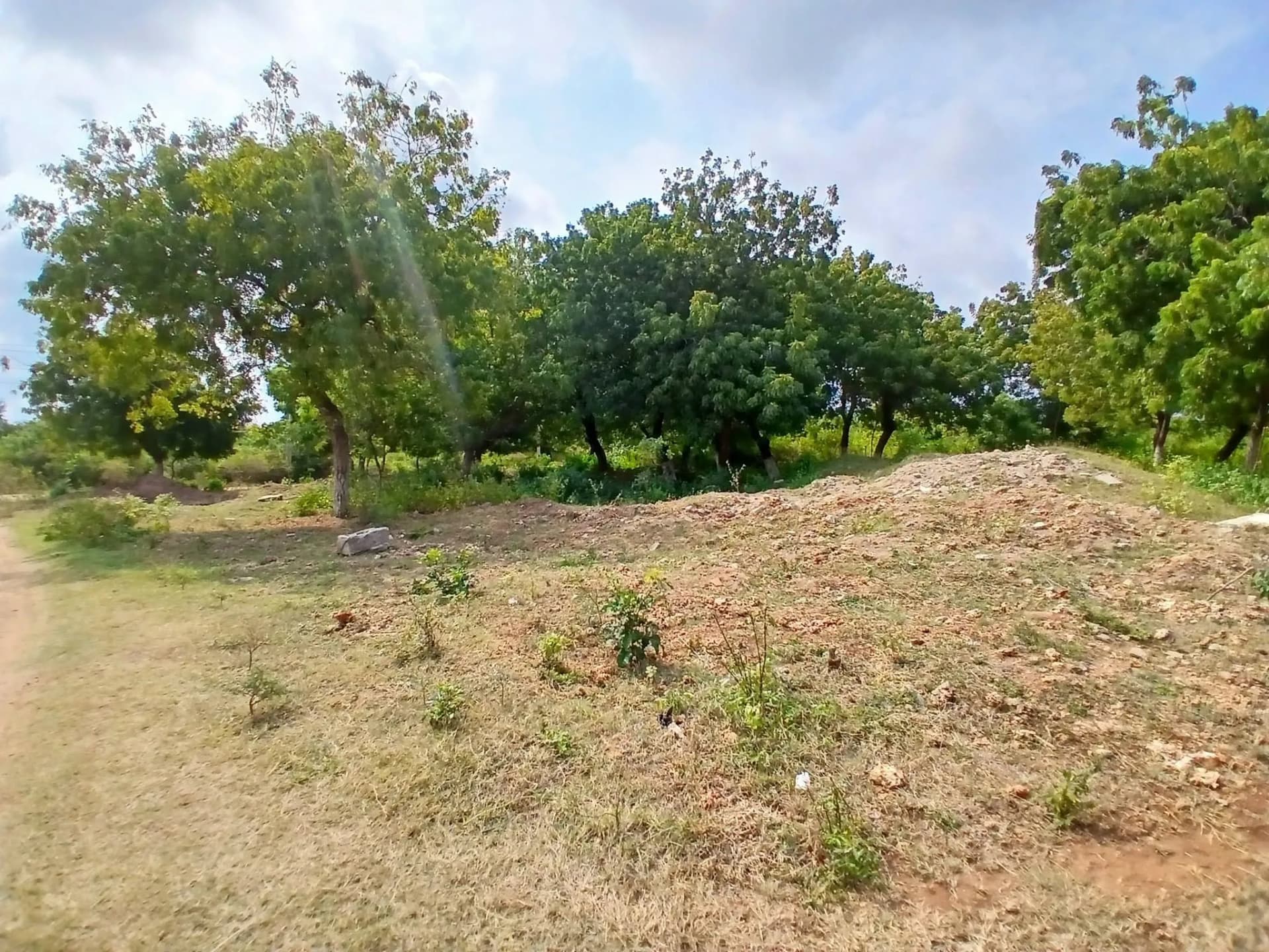 Mixed Use Land For Sale in SHANZU, SHANZU_6