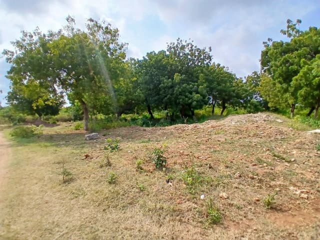 Mixed Use Land For Sale in SHANZU, SHANZU_6