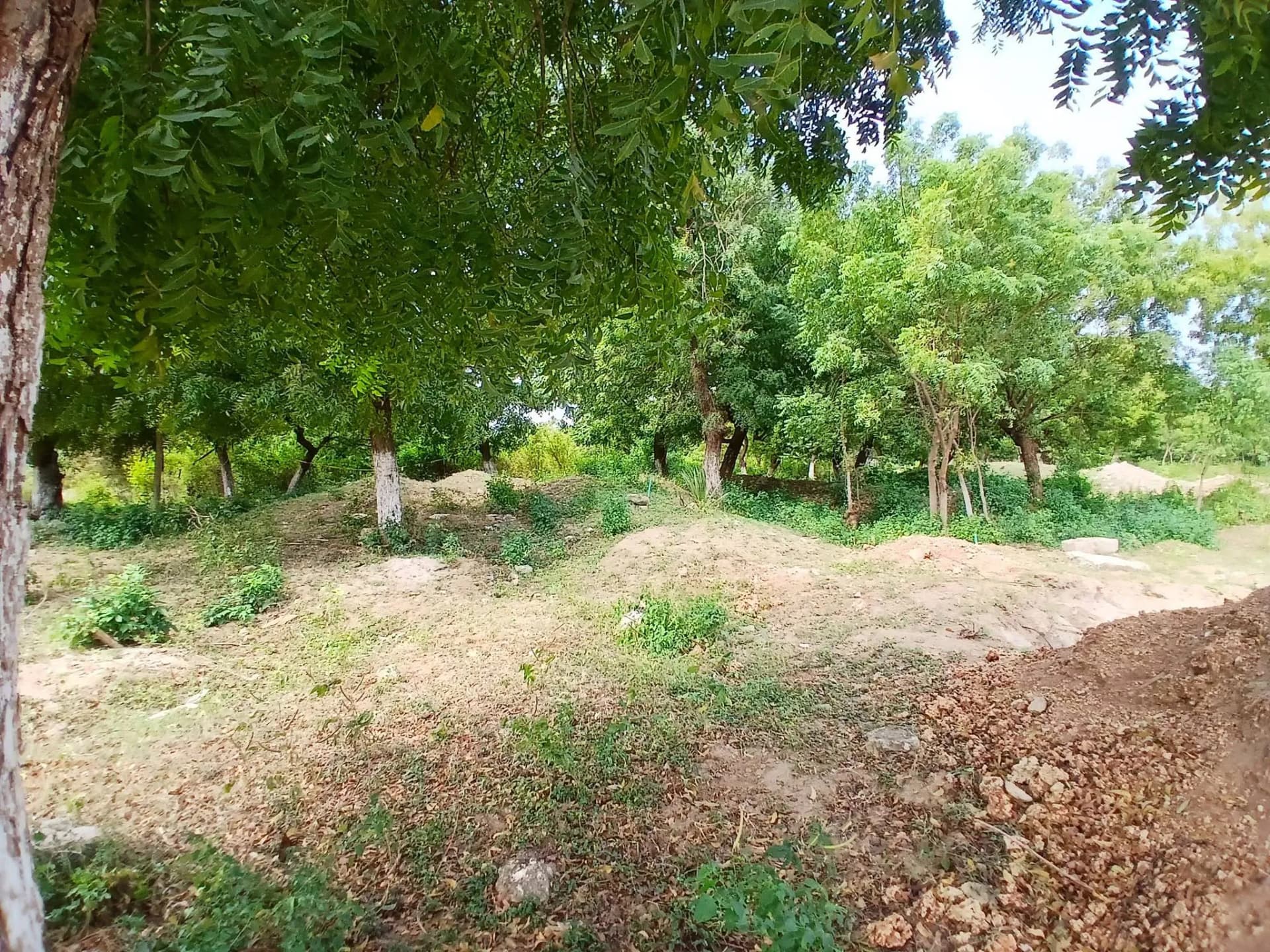 Mixed Use Land For Sale in SHANZU, SHANZU_7