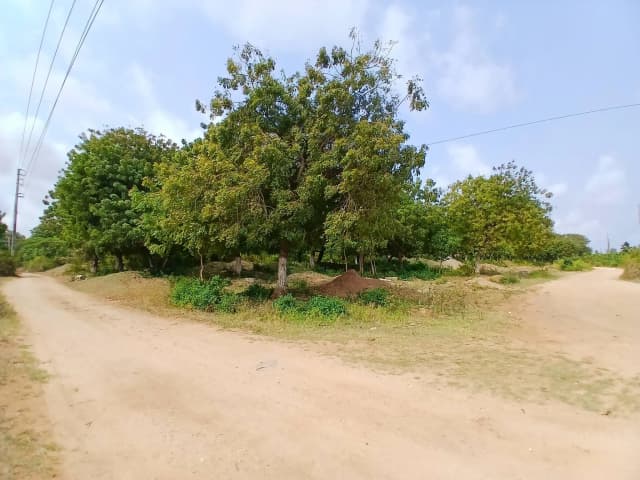 Mixed Use Land For Sale in SHANZU, SHANZU_8