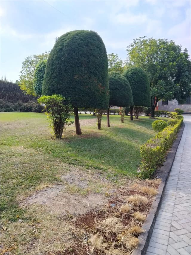 5 Bedroom Maisonette For Rent in Muthaiga, Westlands_9