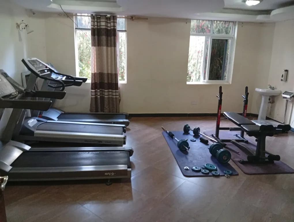1 Bedroom Studio/Bedsitter For Rent in Karen_3