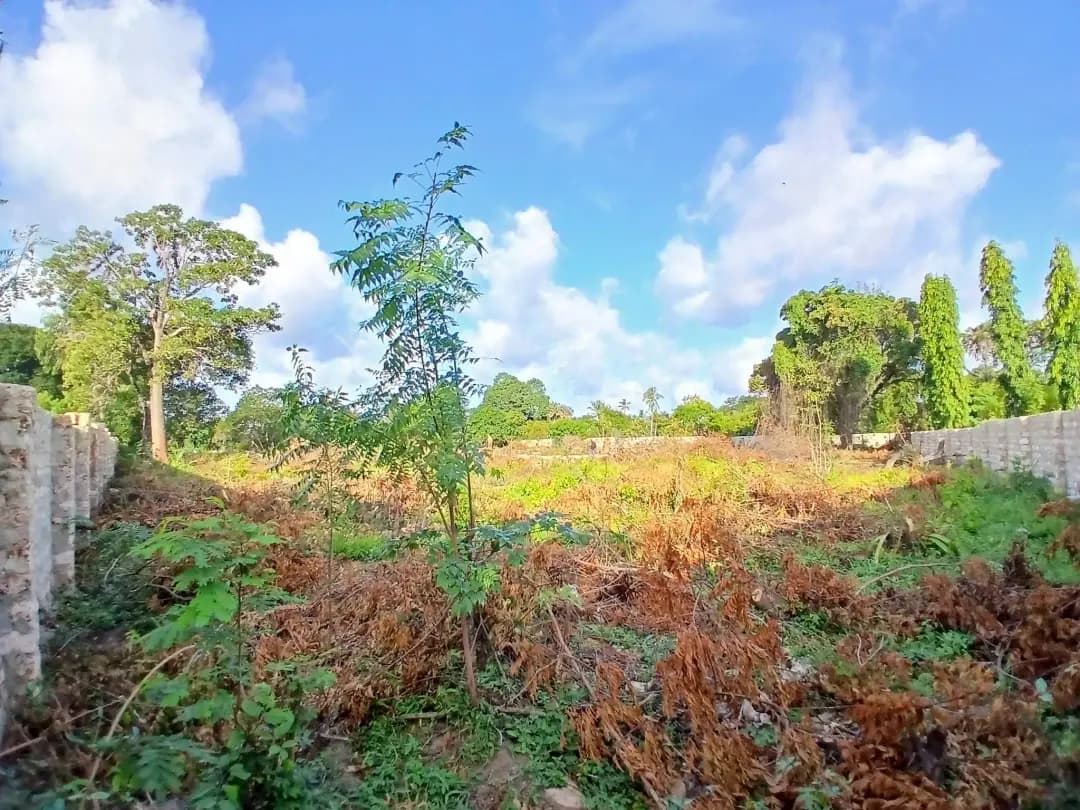Plot For Sale in Mtwapa_6