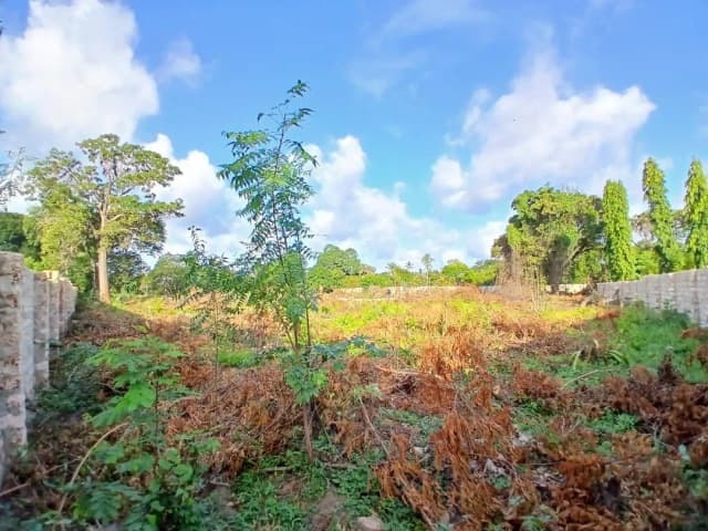 Plot For Sale in Mtwapa_6