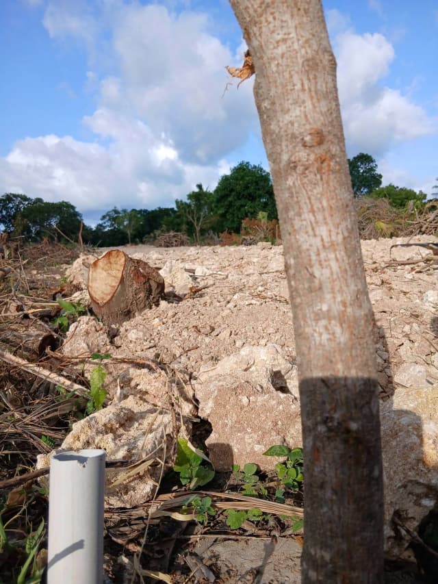 Plot For Sale in Mtwapa_10